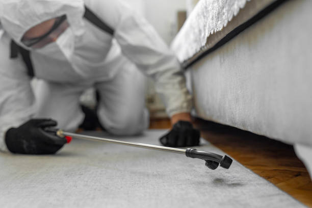 Professional Bed Bug Control technician working in Del City, OK