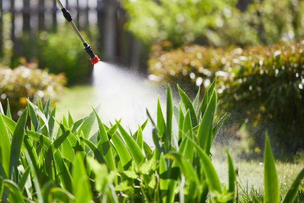 24/7 Emergency Bed Bug Control experts in Del City, OK