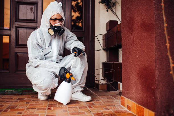 Reliable Bed Bug Control contractor in Del City, OK by Nex Pest Control
