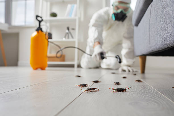 Trusted Rodent Control service in Del City, OK - Nex Pest Control