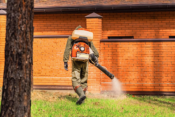 Trusted Ant Control service in Del City, OK - Nex Pest Control